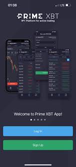 Effective Strategies for Trading on PrimeXBT in Mexico Effective Strategies for Trading on PrimeXBT in Mexico