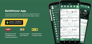 Experience the Thrill of BetWinner Sports Betting